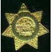 SAN DIEGO, CA COUNTY DEPUTY MARSHALL BADGE PIN